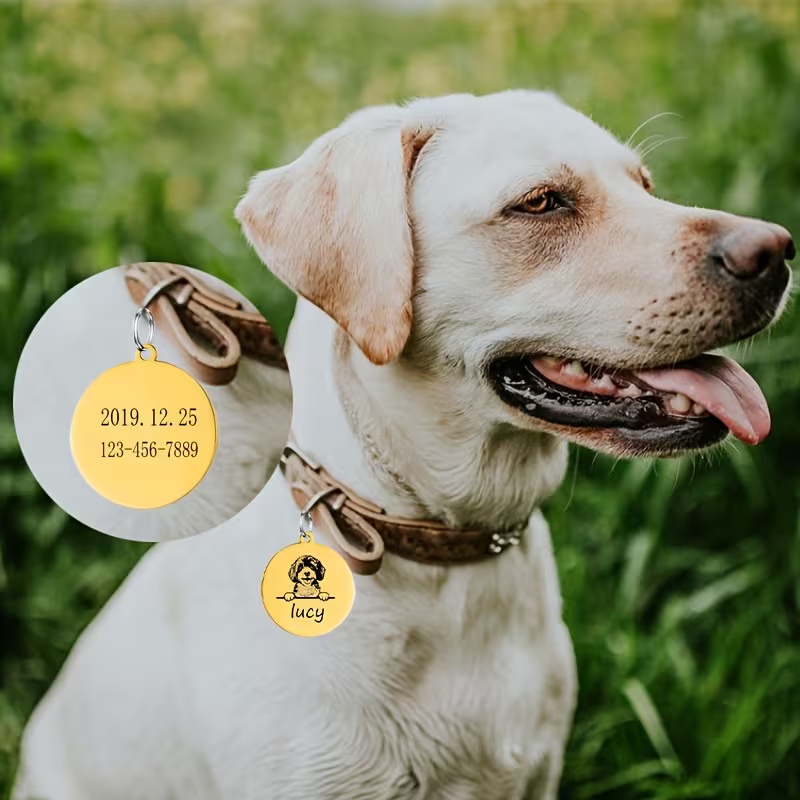 Kalung Anti-Hilang untuk Anjin - Pet Portrait Custom ulasan dan harga